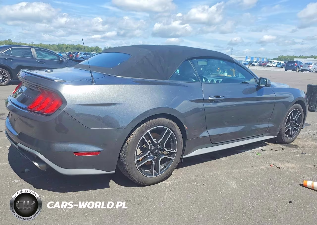 2020 Ford Mustang VIN:1FATP8UH4L5147748 - 3