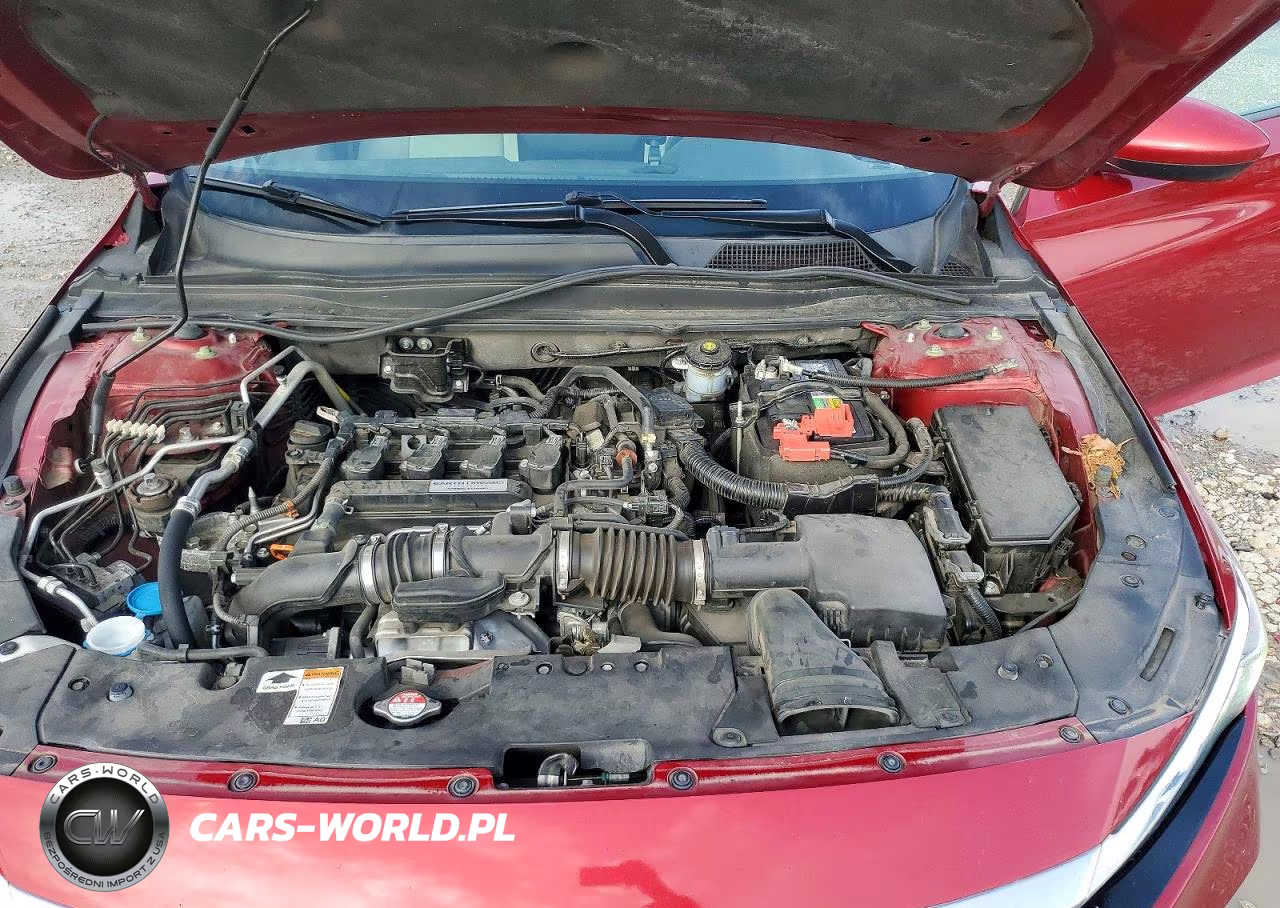 2019 Honda Accord Lx VIN:1HGCV1F14KA168730 - 11