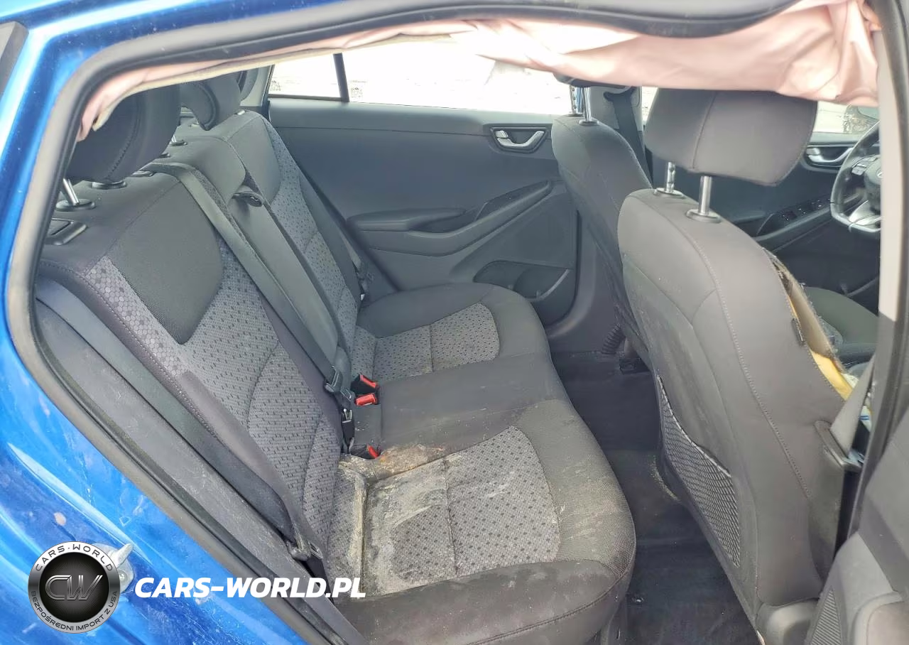 2017 Hyundai Ioniq Sel VIN:KMHC75LC0HU035701 - 10