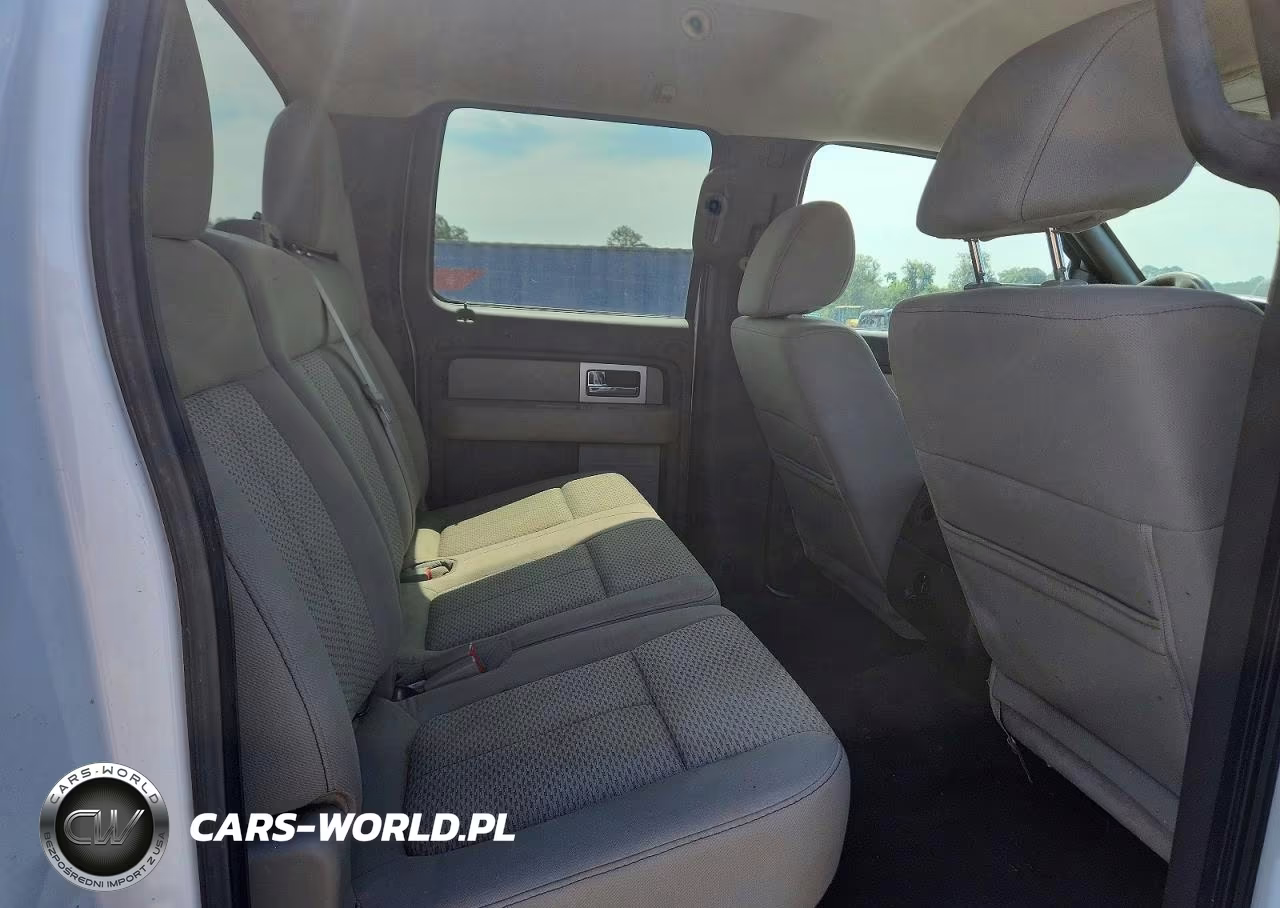 2010 Ford F150 Supercrew VIN:1FTFW1CV5AFD49417 - 10