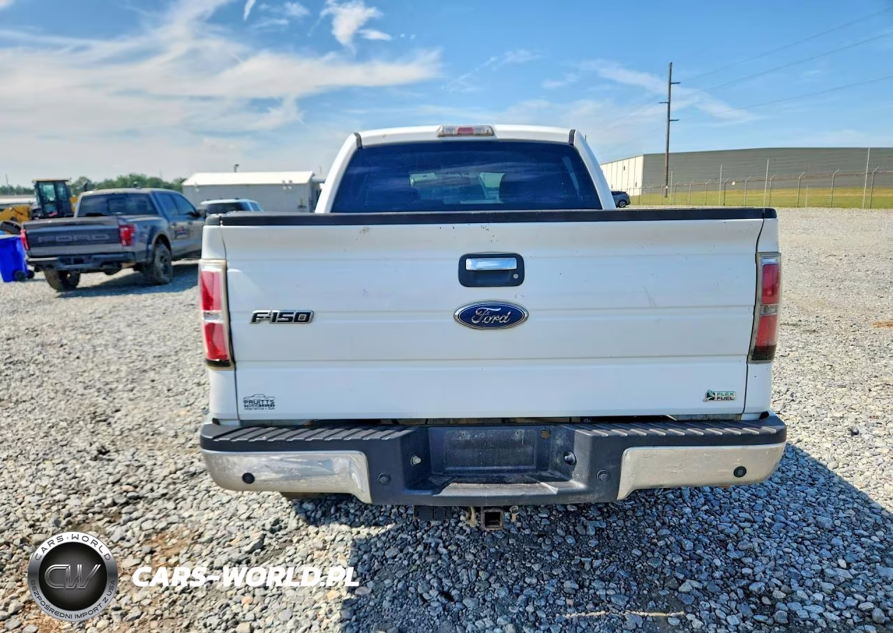 2010 Ford F150 Supercrew VIN:1FTFW1CV5AFD49417 - 6