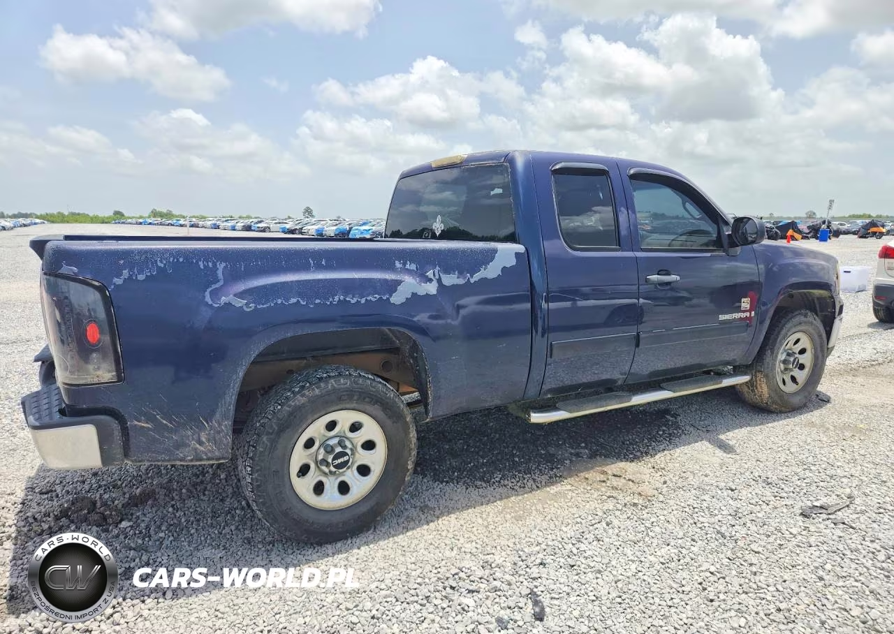 2009 GMC Sierra C1500 VIN:2GTEC19C691129653 - 3