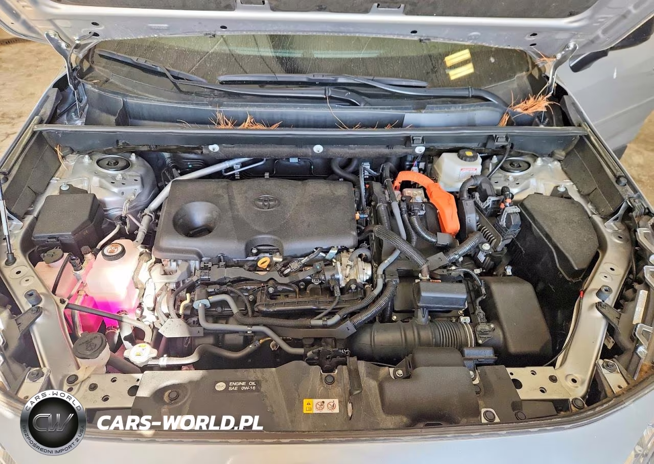 2024 Toyota Rav4 Le VIN:2T3LWRFVXRW203201 - 12