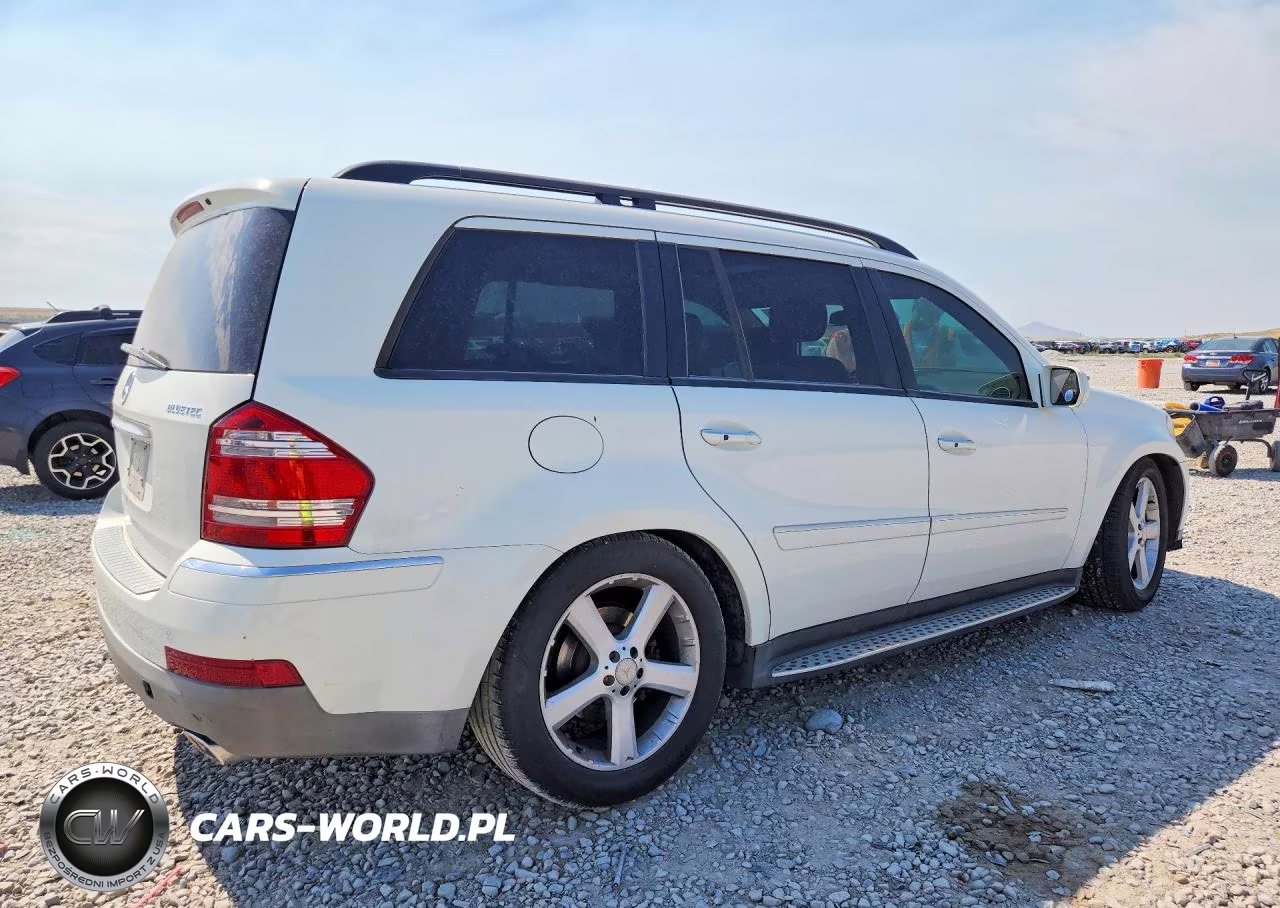 2009 Mercedes-Benz Gl VIN:4JGBF25E19A477014 - 3