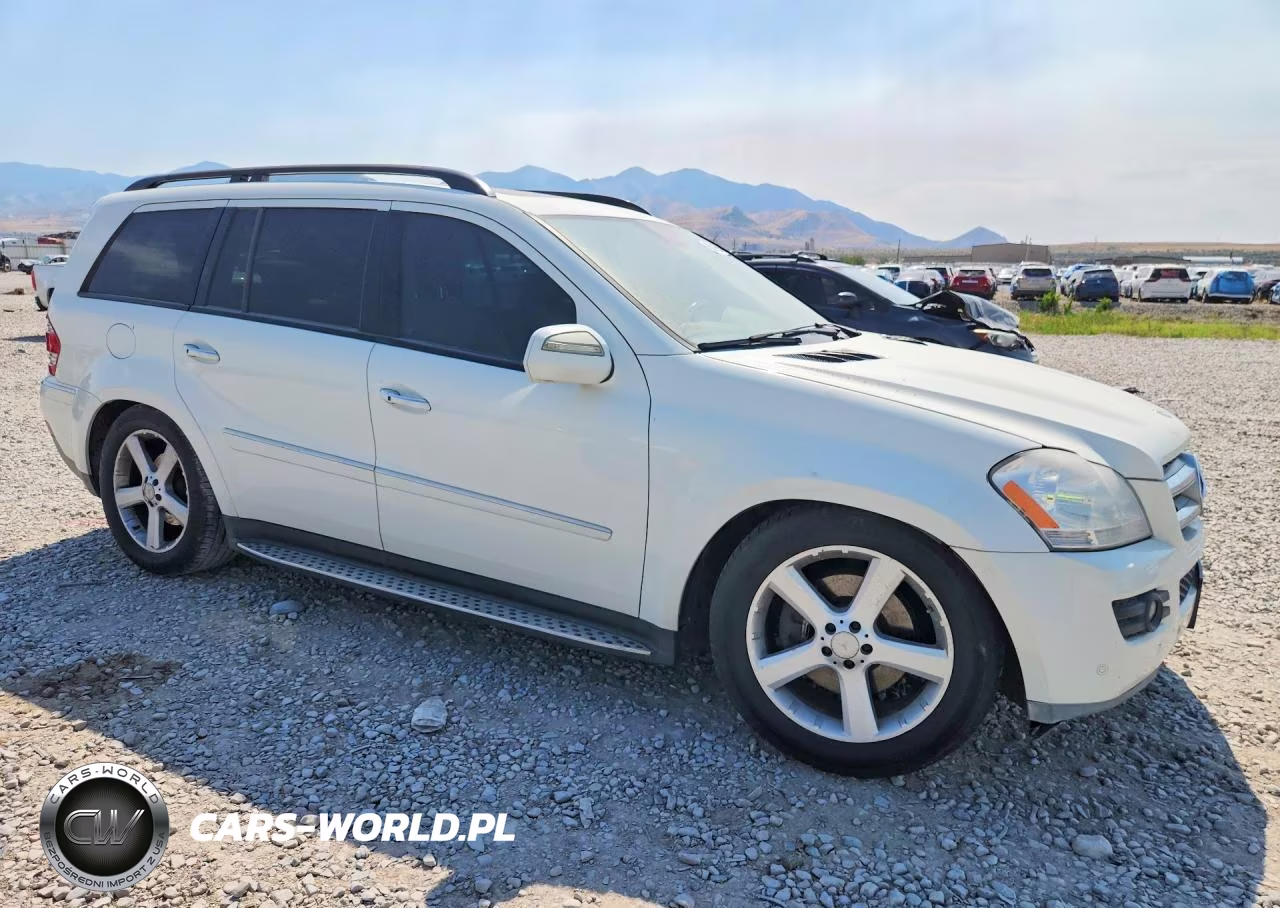 2009 Mercedes-Benz Gl VIN:4JGBF25E19A477014 - 4