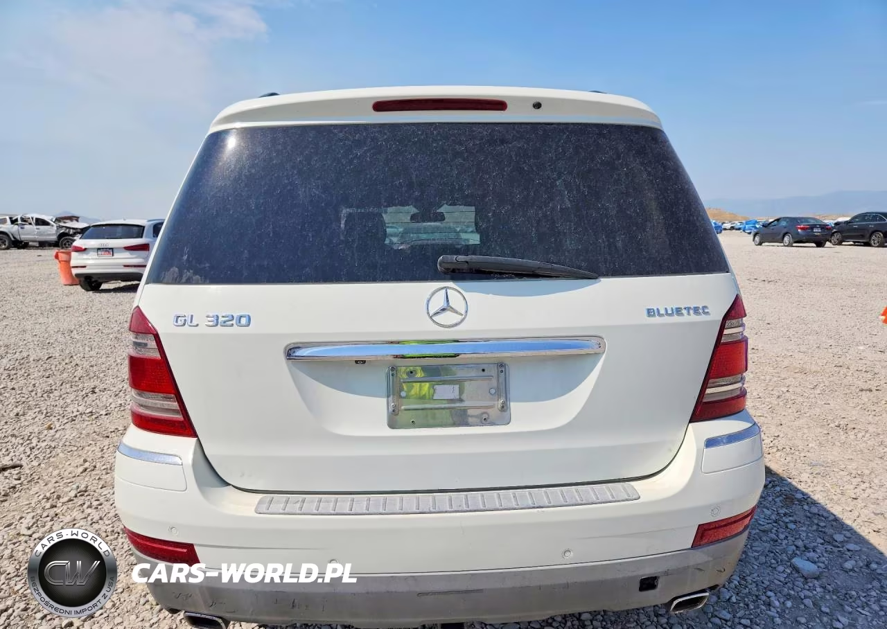 2009 Mercedes-Benz Gl VIN:4JGBF25E19A477014 - 6