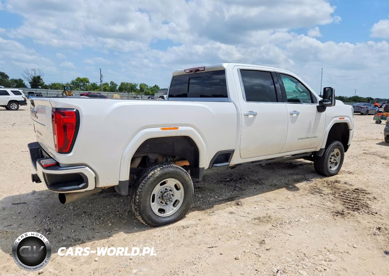 2020 GMC Sierra K2500 Denali VIN:1GT49REY3LF229171 - 3