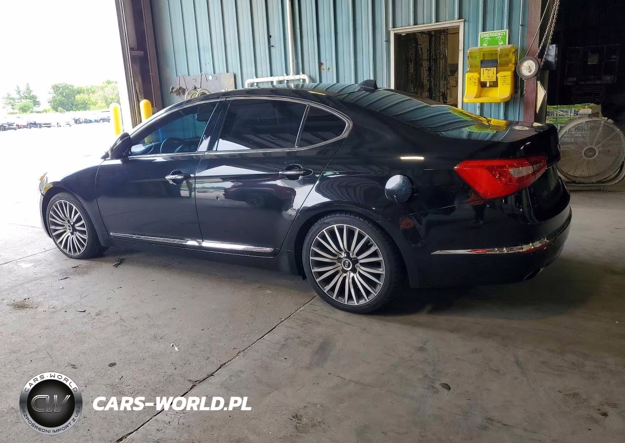 2014 Kia Cadenza Limited VIN:KNALN4D75E5145166 - 2