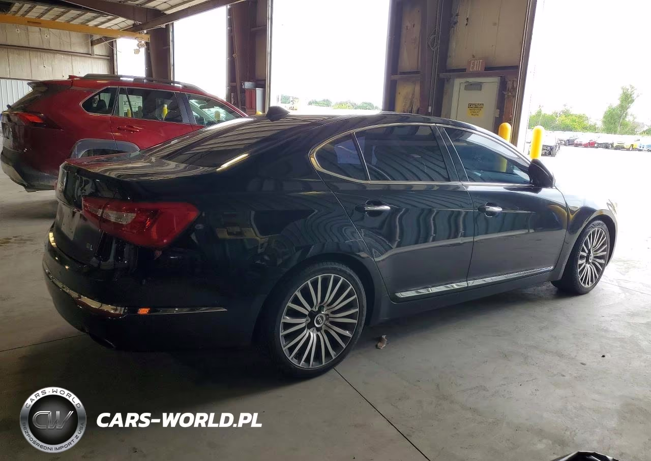 2014 Kia Cadenza Limited VIN:KNALN4D75E5145166 - 3