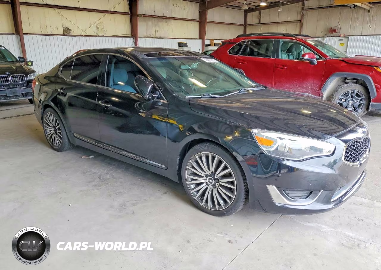 2014 Kia Cadenza Limited VIN:KNALN4D75E5145166 - 4