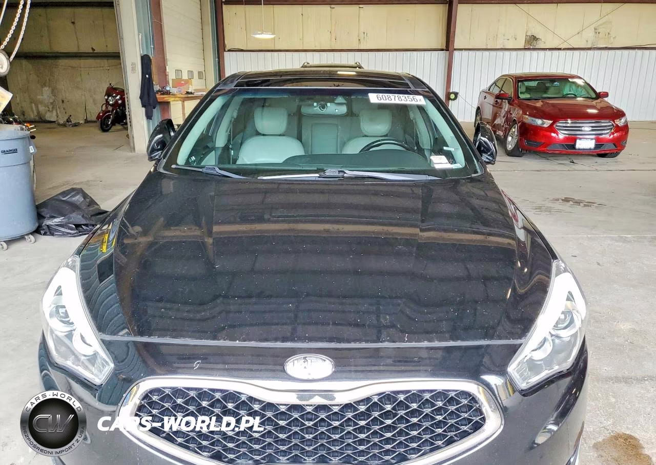 2014 Kia Cadenza Limited VIN:KNALN4D75E5145166 - 5