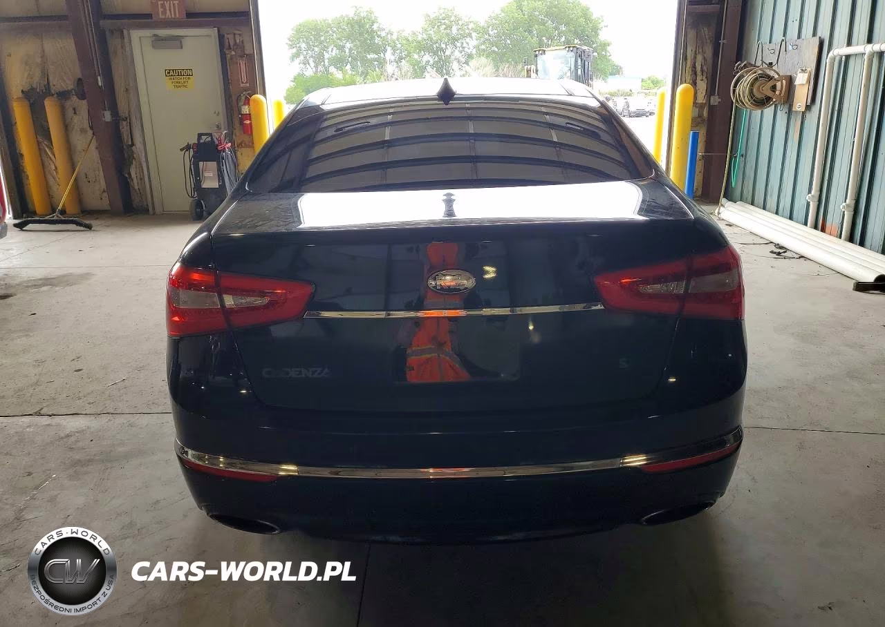 2014 Kia Cadenza Limited VIN:KNALN4D75E5145166 - 6