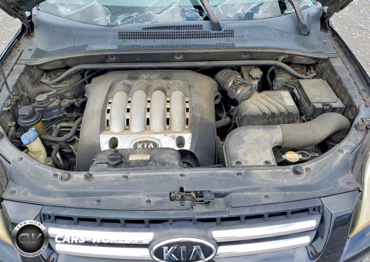 2005 Kia Sportage Lx VIN:KNDJE723057119493 - 12