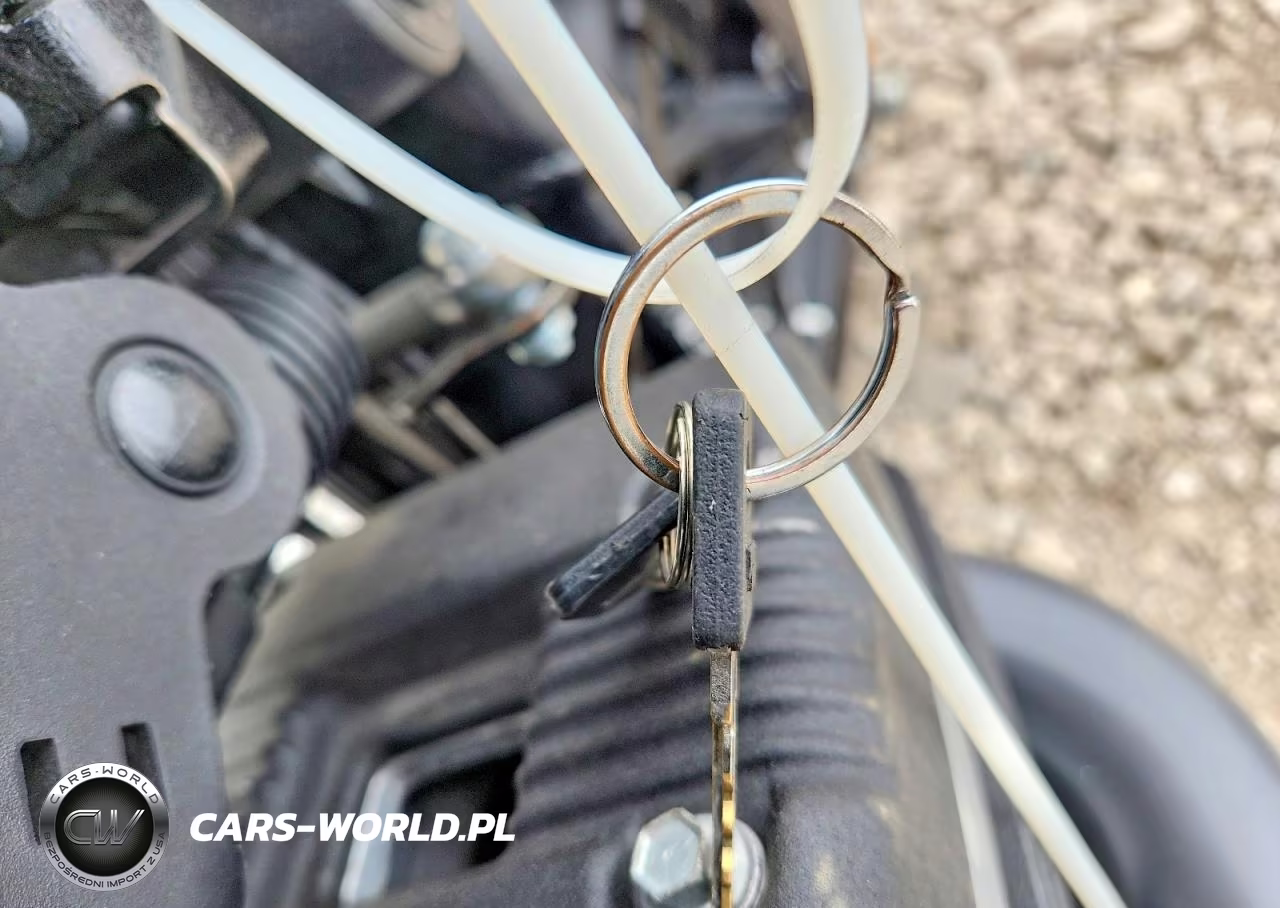 2019 Harley-Davidson Xl883 N VIN:1HD4LE213KC420766 - 8