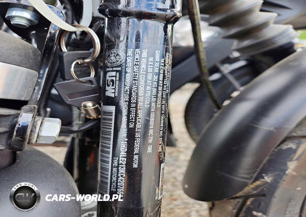 2019 Harley-Davidson Xl883 N VIN:1HD4LE213KC420766 - 9
