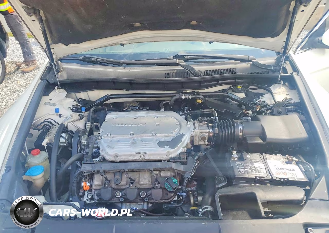 2010 Honda Accord Exl VIN:5KBCP3F8XAB013477 - 11