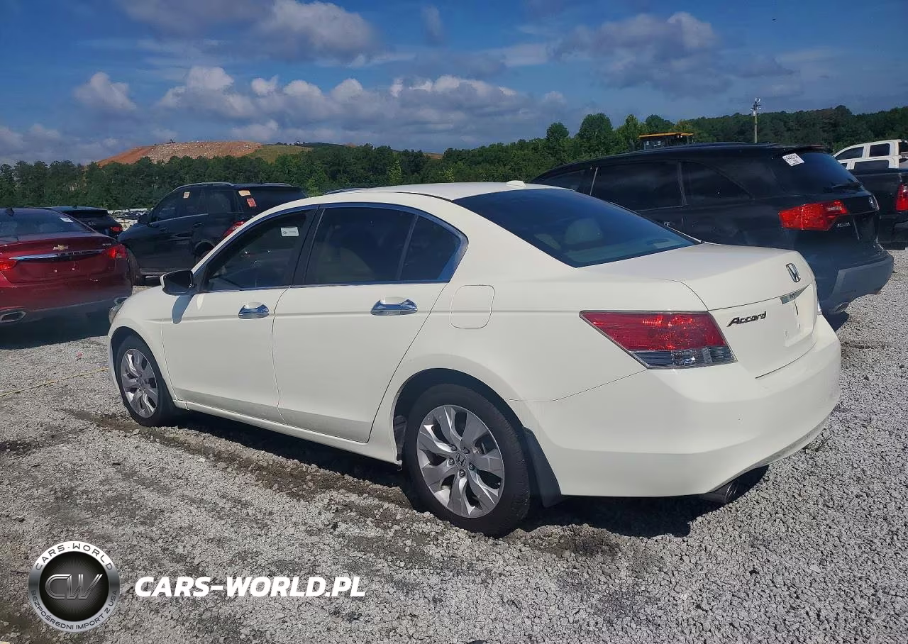 2010 Honda Accord Exl VIN:5KBCP3F8XAB013477 - 2