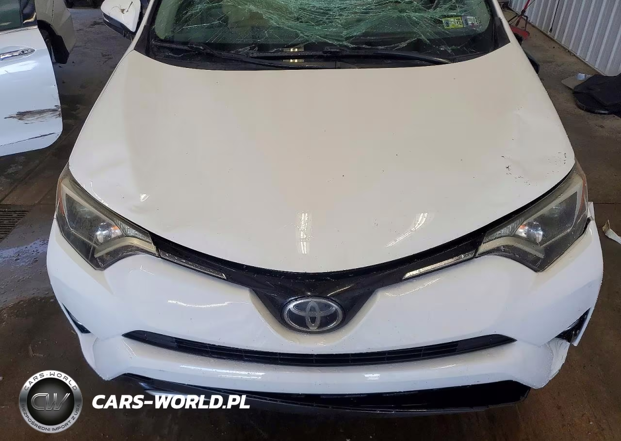 2017 Toyota Rav4 Xle VIN:JTMRFREV5HJ144728 - 12