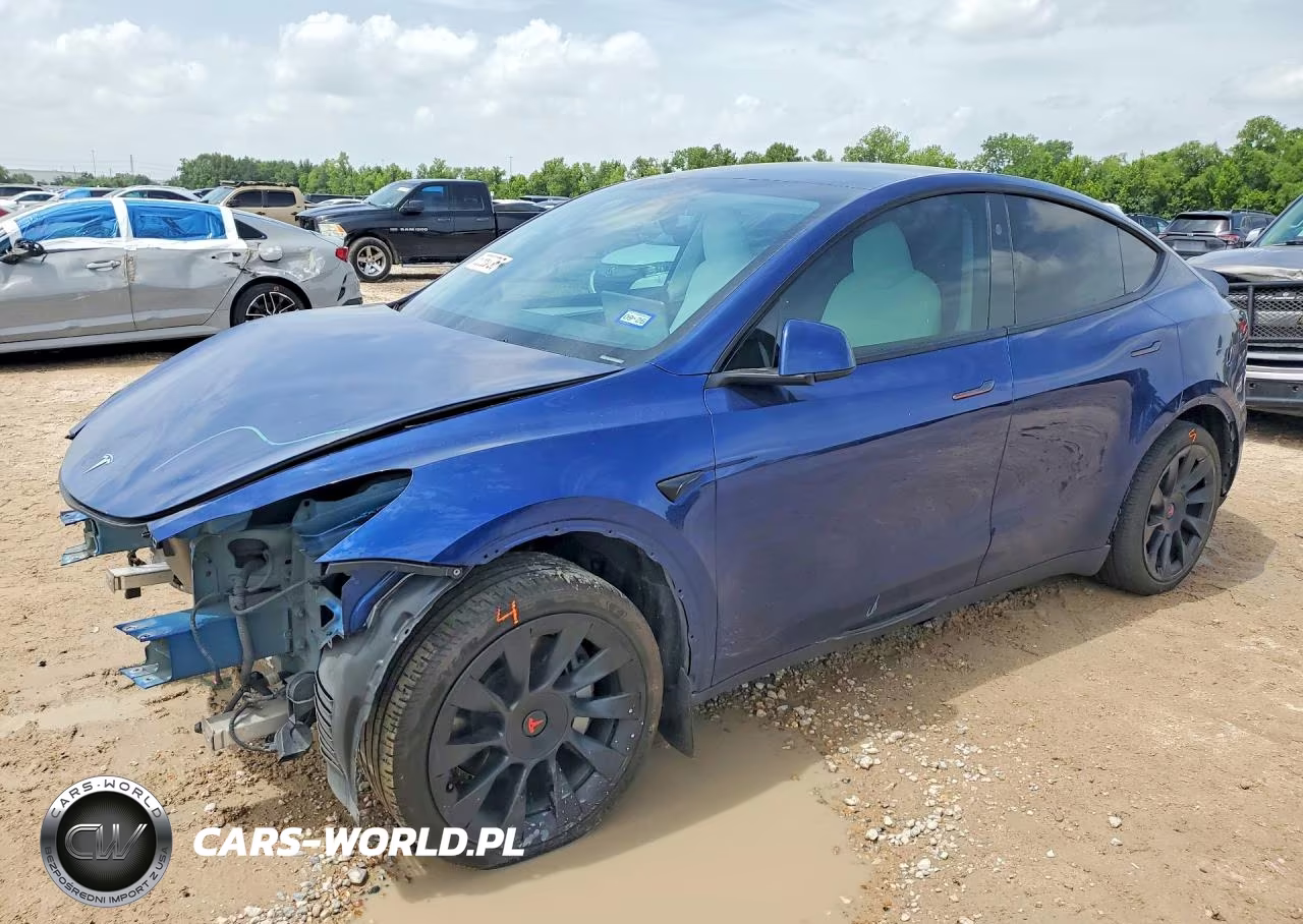 2024 Tesla Model Y VIN:7SAYGDEE1RA215170 - 1
