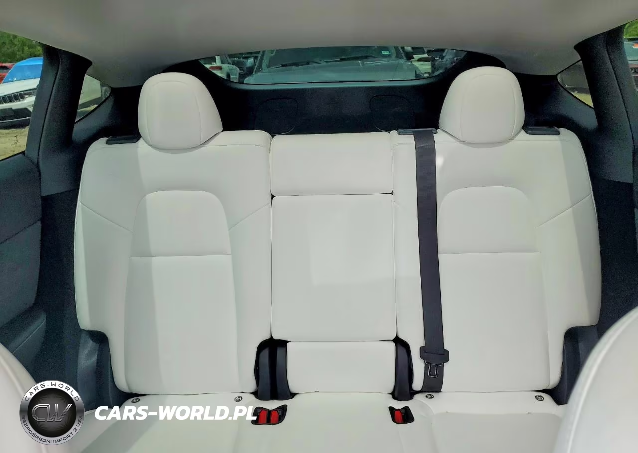 2024 Tesla Model Y VIN:7SAYGDEE1RA215170 - 10