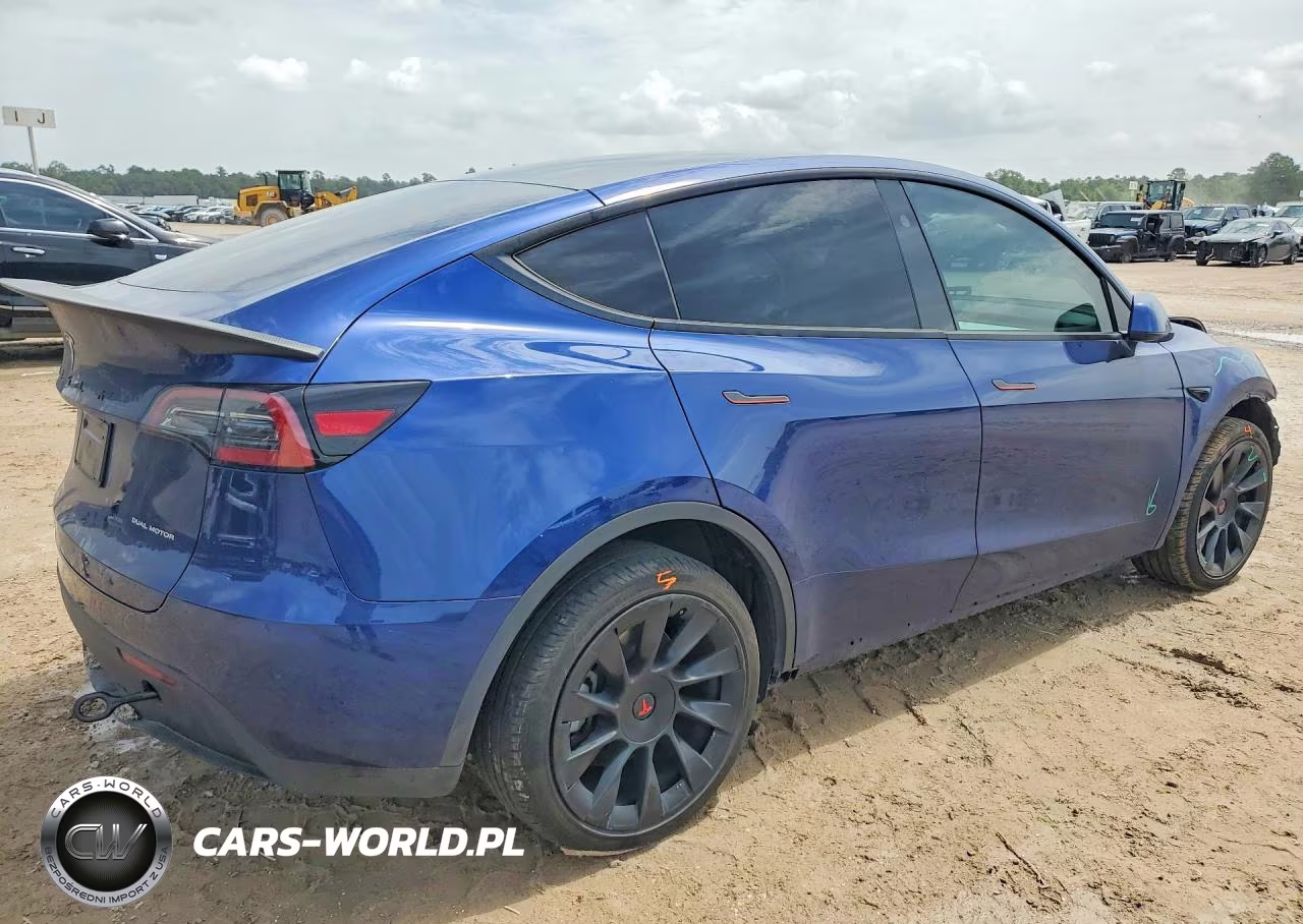 2024 Tesla Model Y VIN:7SAYGDEE1RA215170 - 3