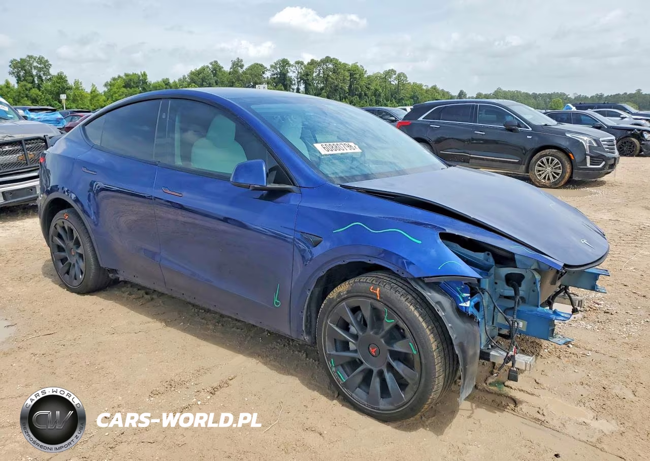 2024 Tesla Model Y VIN:7SAYGDEE1RA215170 - 4