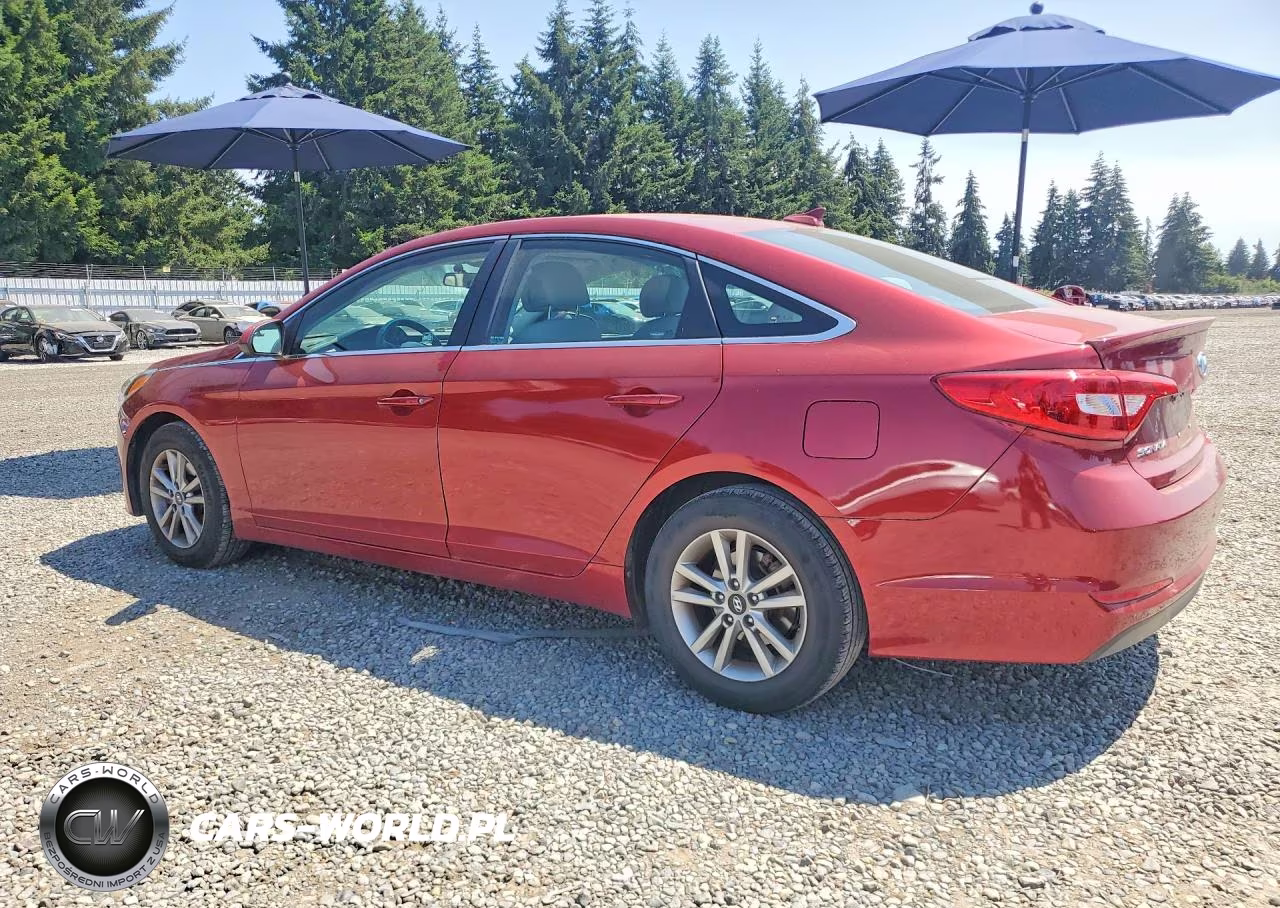 2015 Hyundai Sonata Se VIN:5NPE24AF8FH204132 - 2