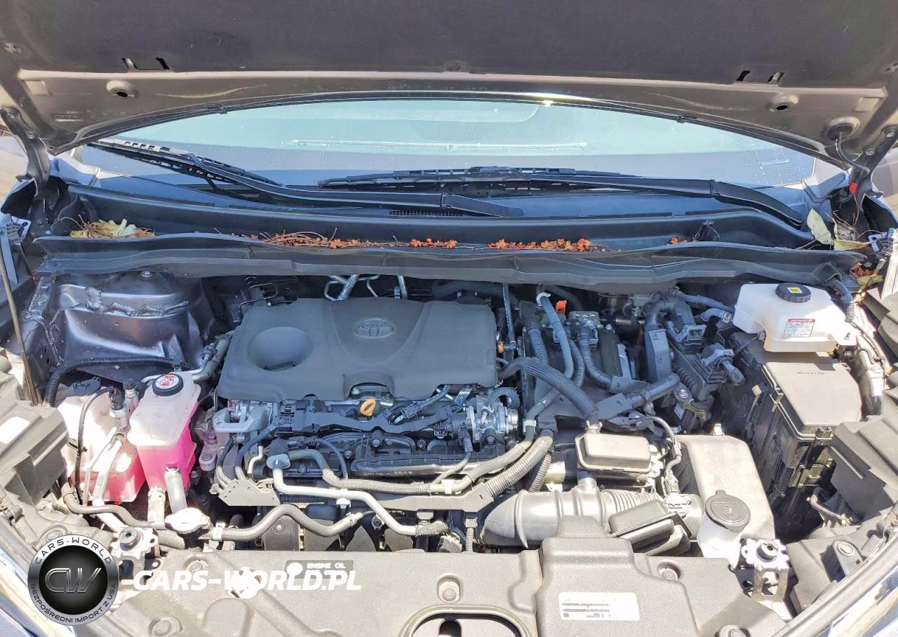 2022 Toyota Sienna Xle VIN:5TDJRKEC4NS088855 - 12