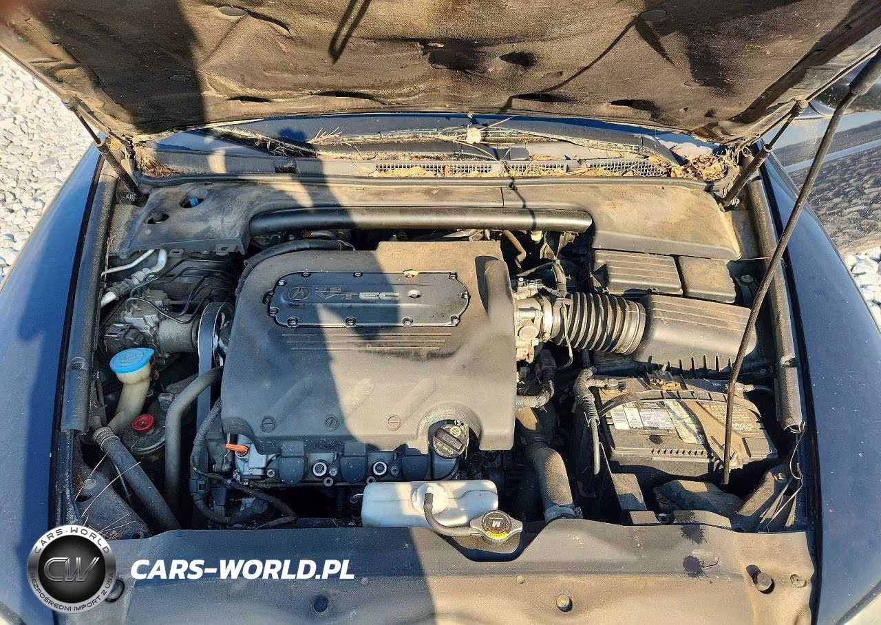 2006 Acura 3.2Tl VIN:19UUA662X6A050709 - 11