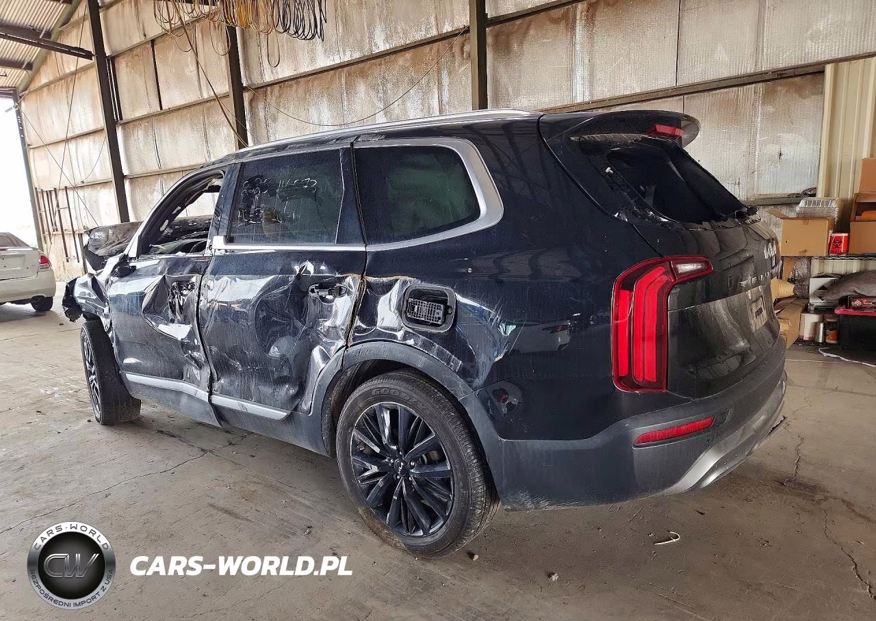 2022 Kia Telluride Sx VIN:5XYP54HC1NG201087 - 2
