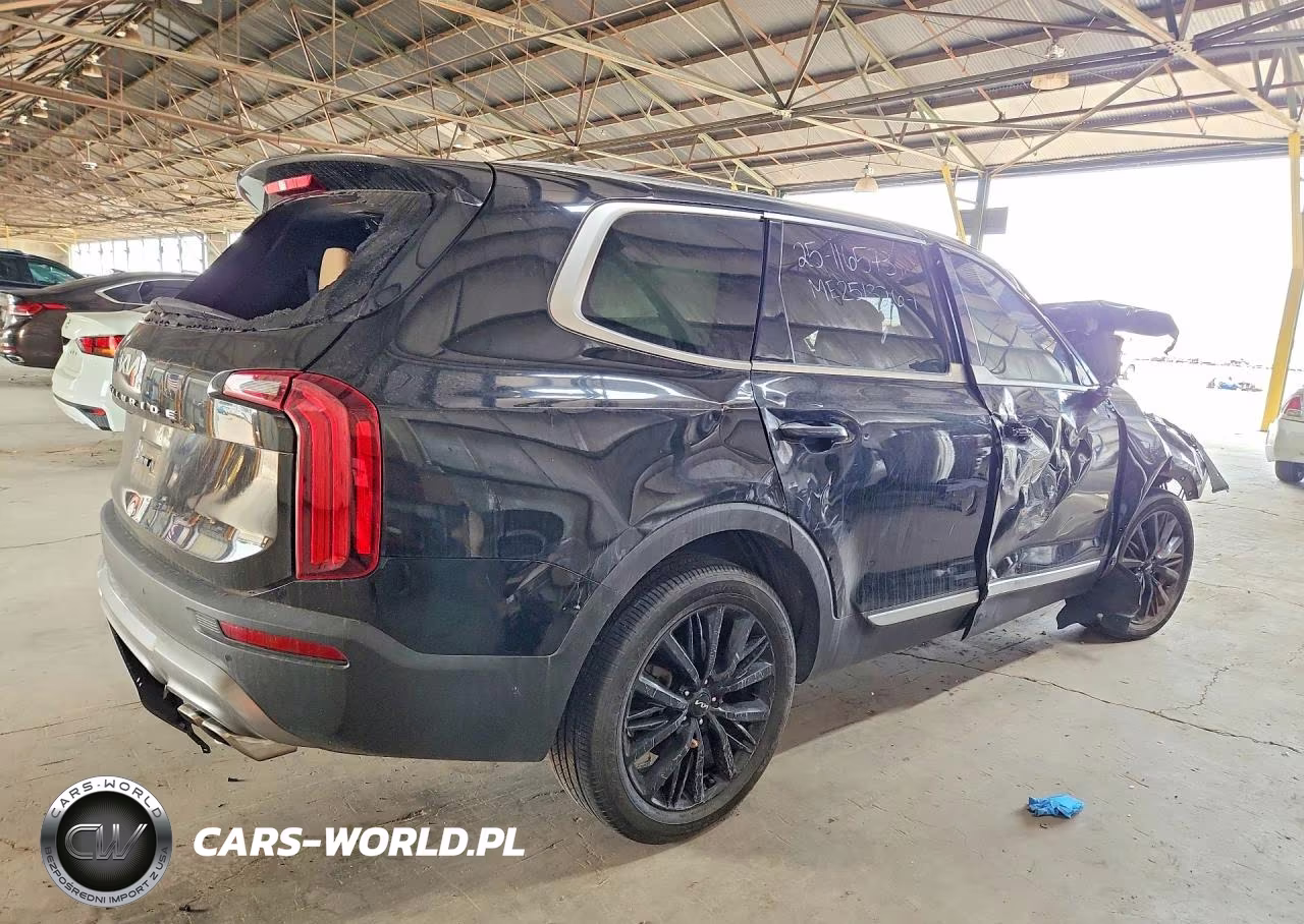 2022 Kia Telluride Sx VIN:5XYP54HC1NG201087 - 3