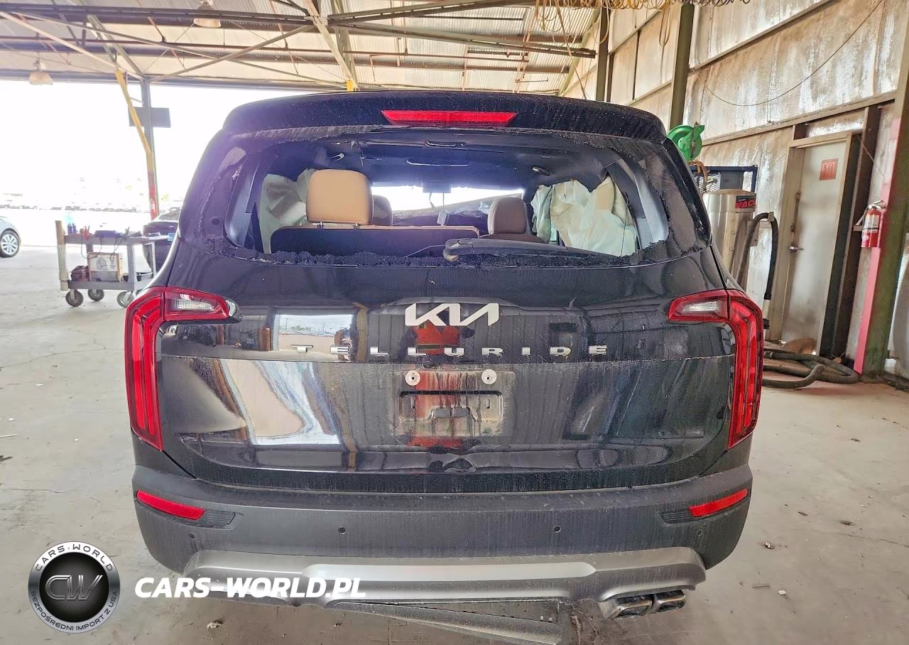 2022 Kia Telluride Sx VIN:5XYP54HC1NG201087 - 6