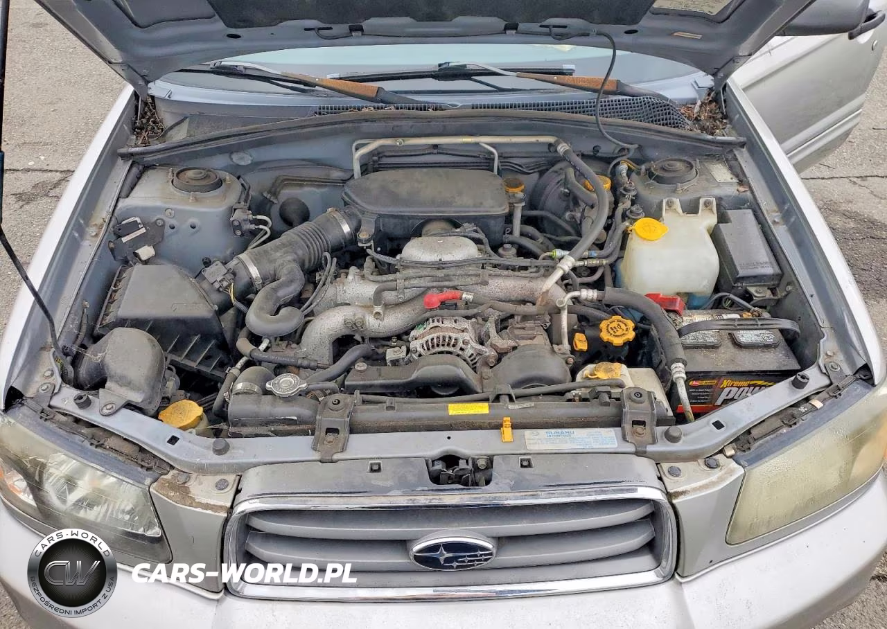 2005 Subaru Forester 2.5Xs VIN:JF1SG65605G705163 - 11