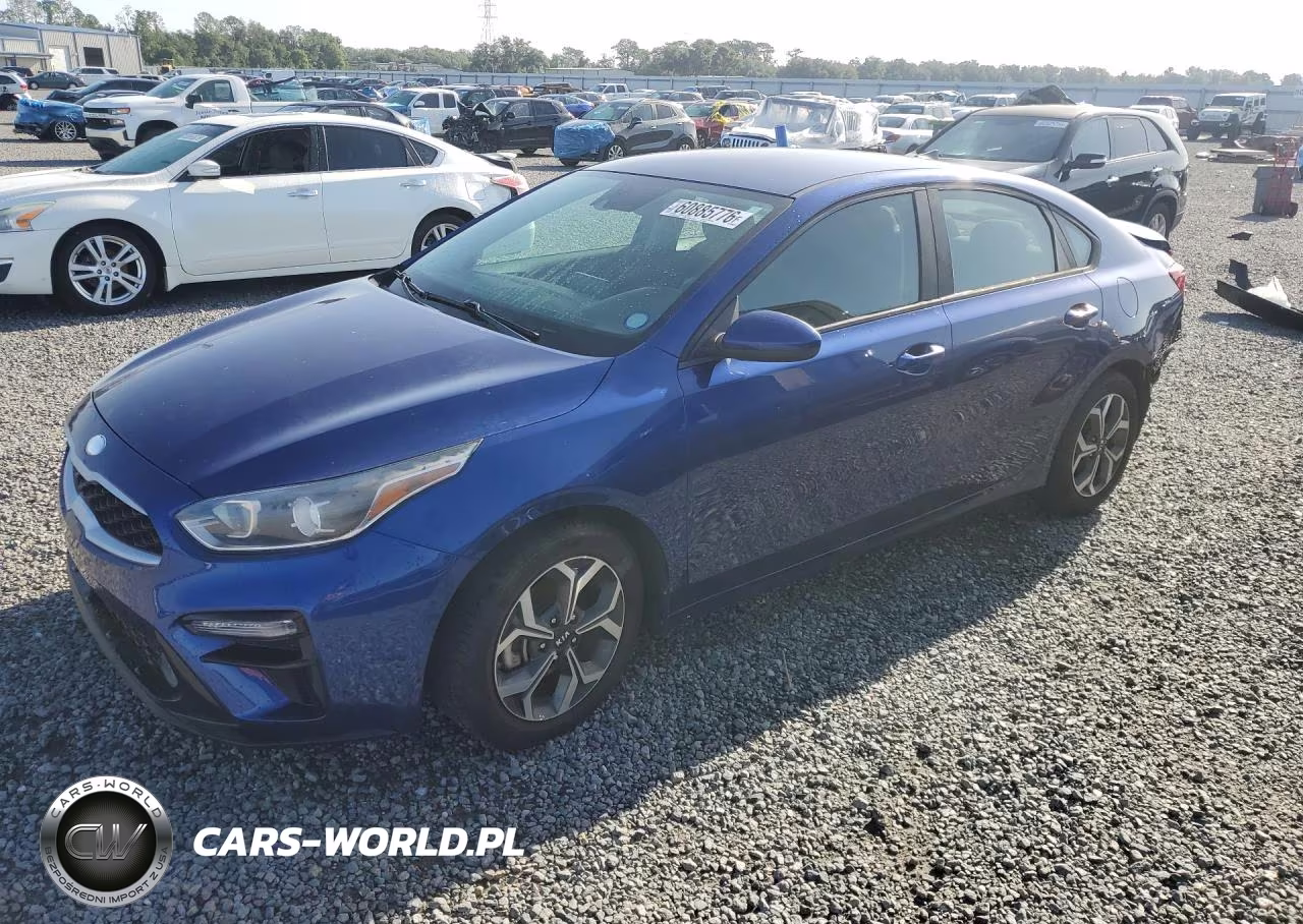 2019 Kia Forte Lxs
