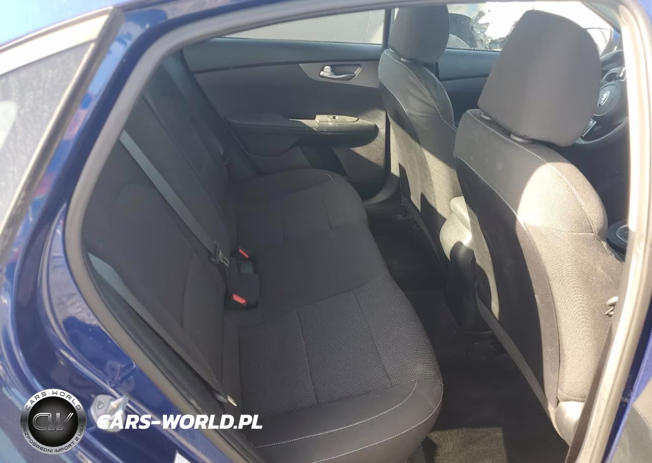2019 Kia Forte Lxs VIN:3KPF24AD3KE032481 - 10