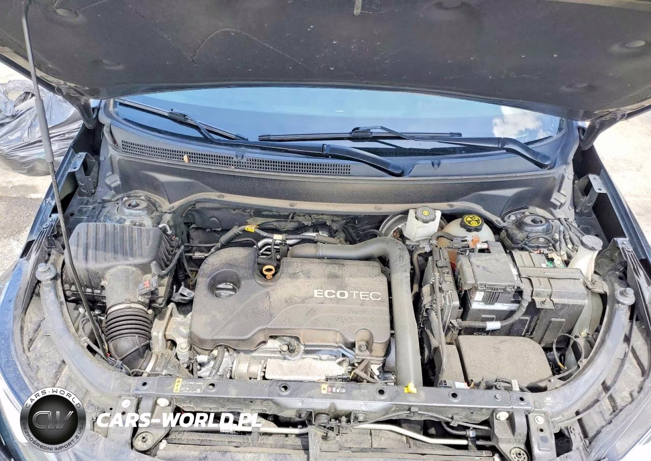 2019 Chevrolet Equinox Ls VIN:2GNAXHEV3K6153878 - 12