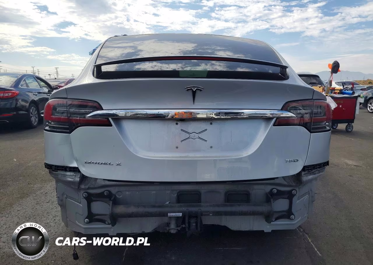2018 Tesla Model X VIN:5YJXCBE29JF101973 - 6