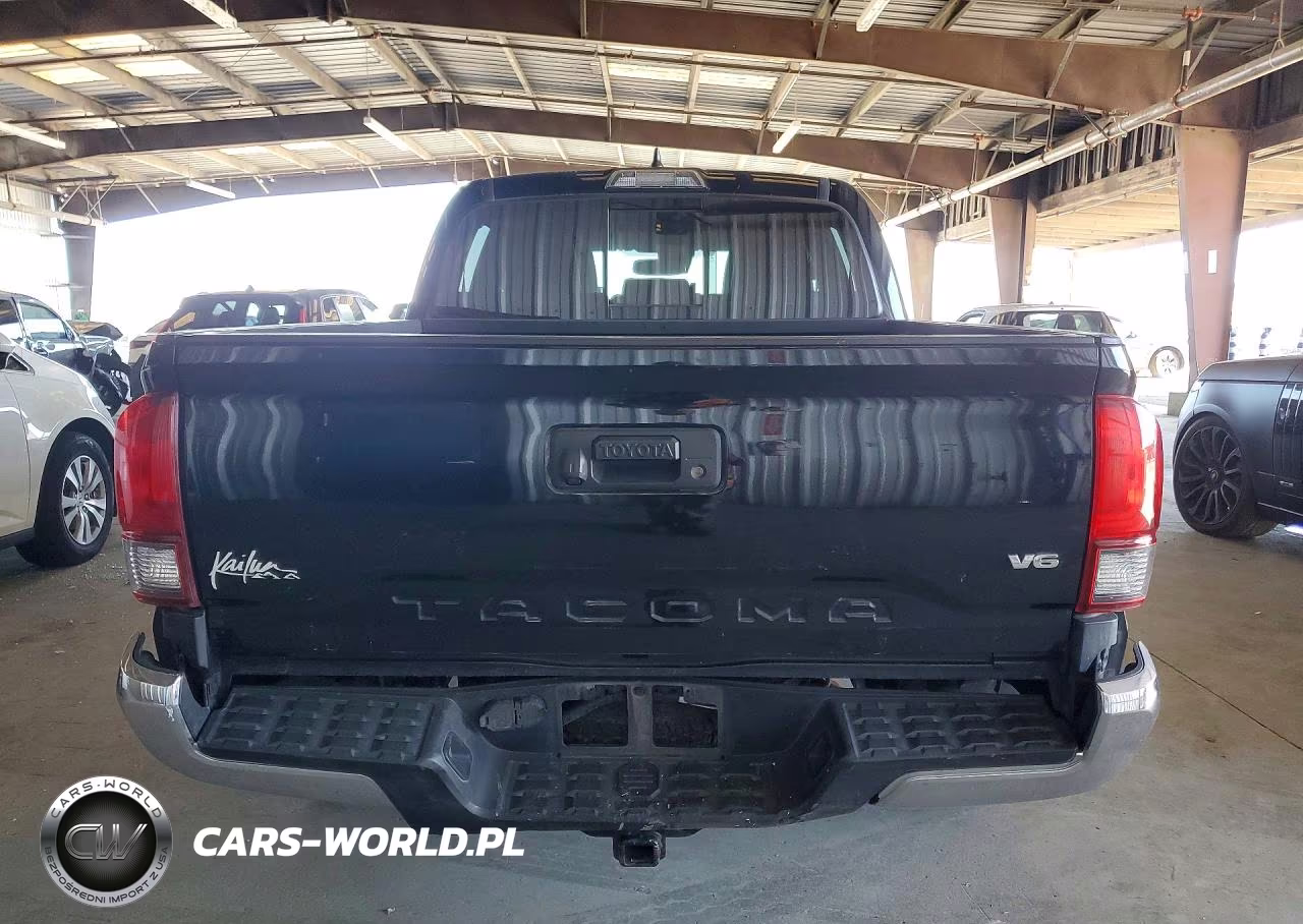 2019 Toyota Tacoma Trd Off-Road VIN:3TMCZ5AN0KM214254 - 6