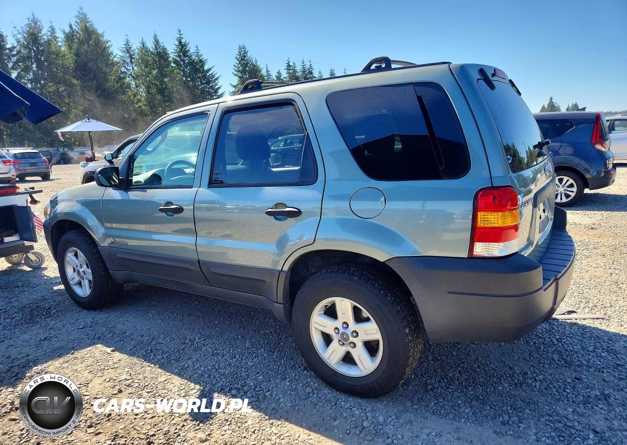 2006 Ford Escape Hev VIN:1FMYU96H26KC36117 - 2