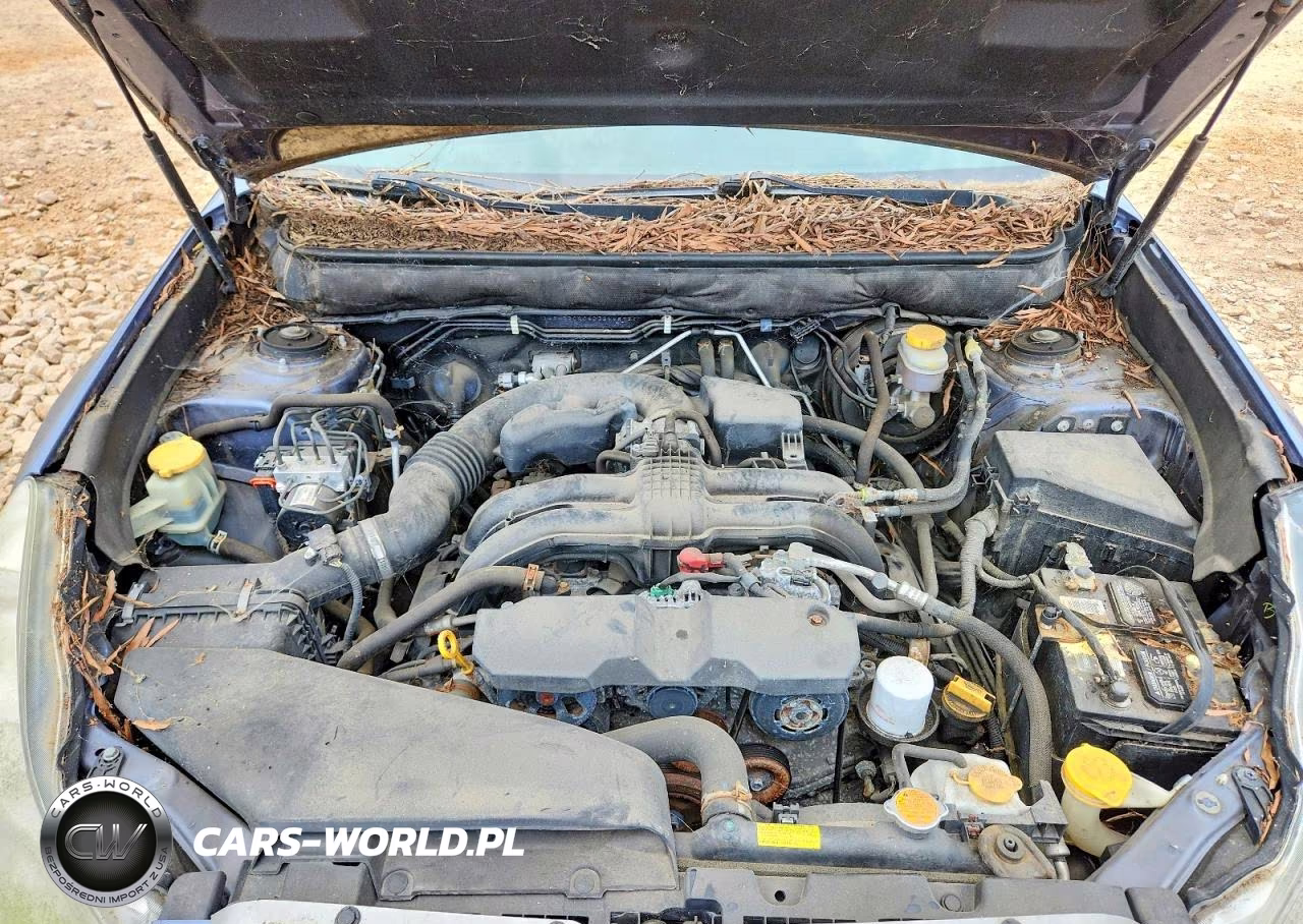 2013 Subaru Outback 2.5I Premium VIN:4S4BRCCC6D3244872 - 12
