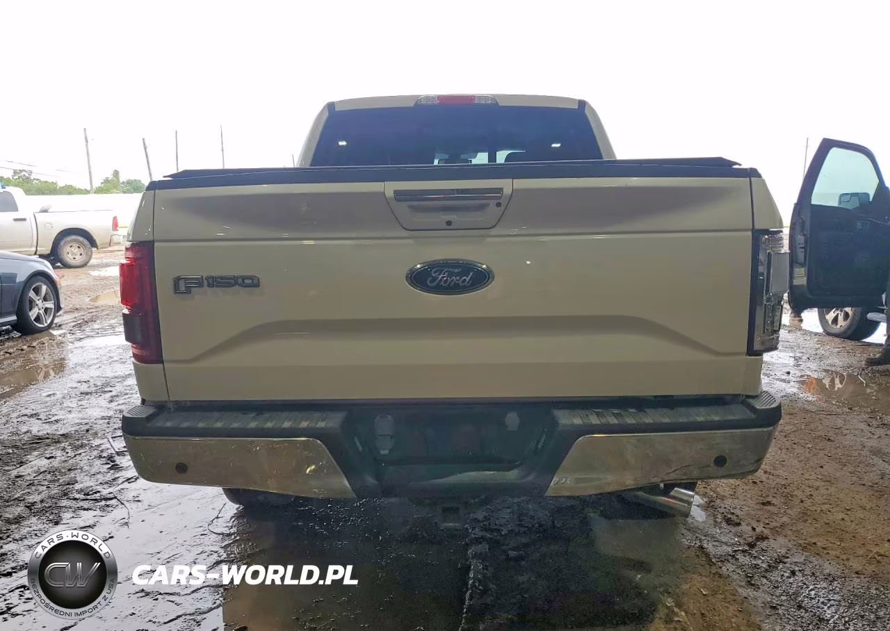 2015 Ford F150 Supercrew VIN:1FTEW1CG7FKD87999 - 6