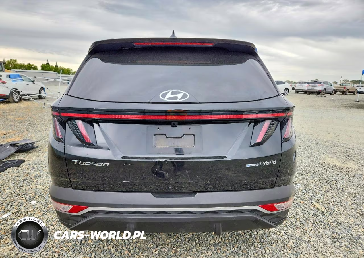 2024 Hyundai Tucson Sel Convenience VIN:KM8JCCD13RU140173 - 6