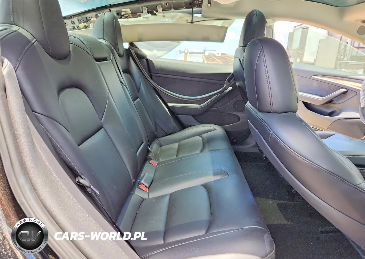 2023 Tesla Model 3 VIN:5YJ3E1EA3PF431692 - 10