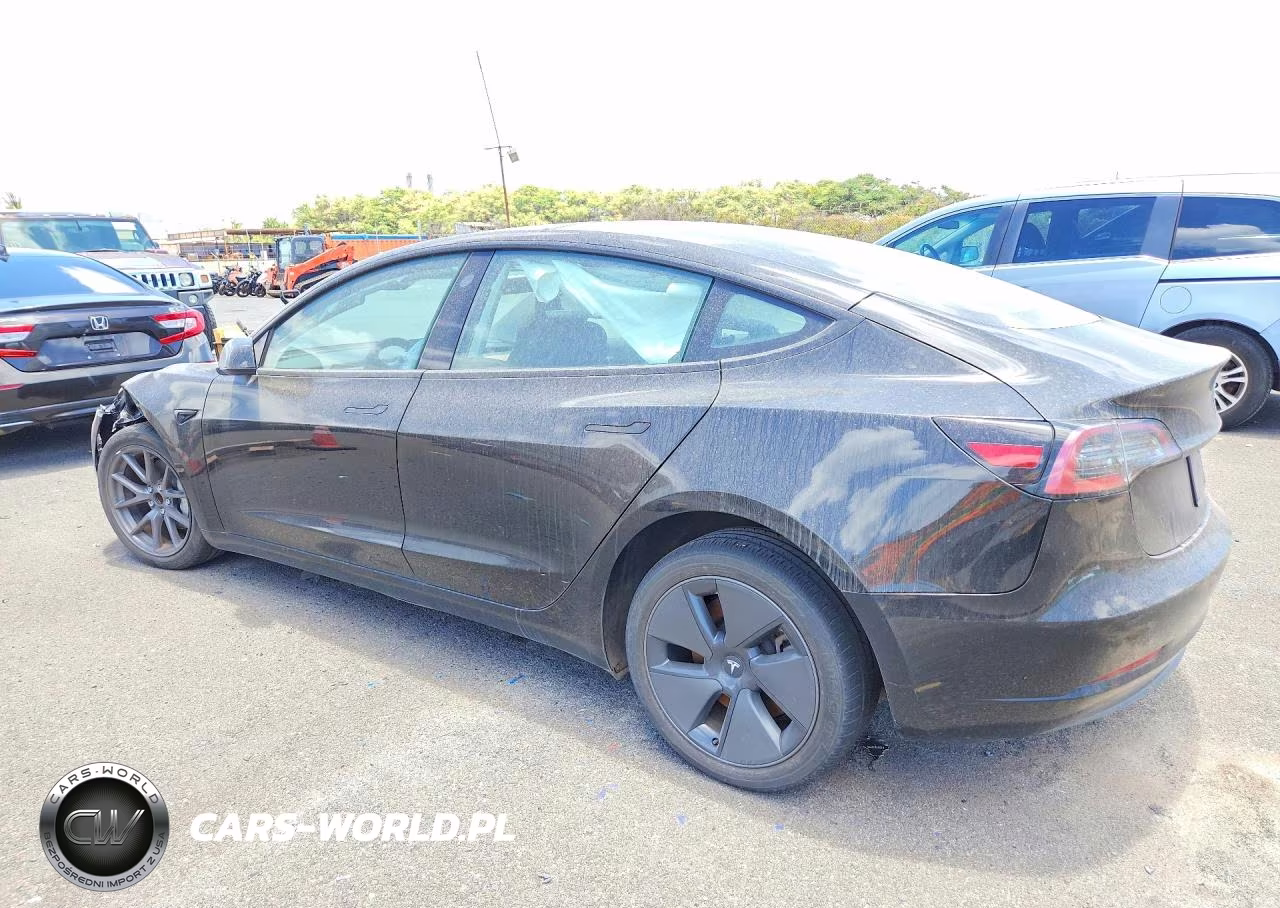 2023 Tesla Model 3 VIN:5YJ3E1EA3PF431692 - 2