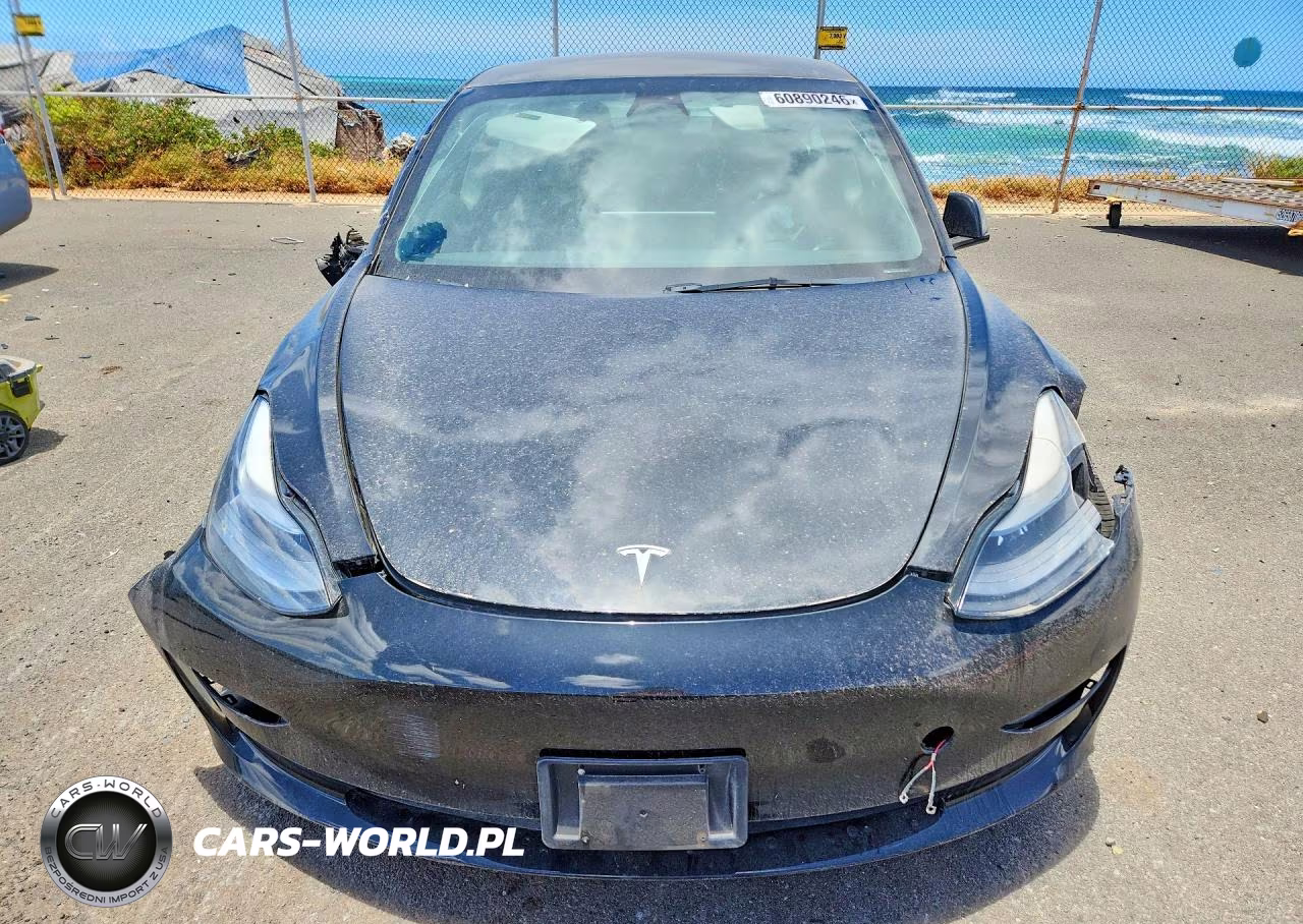 2023 Tesla Model 3 VIN:5YJ3E1EA3PF431692 - 5