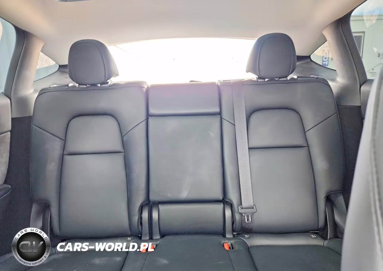 2023 Tesla Model Y VIN:7SAYGDEE4PA077685 - 10