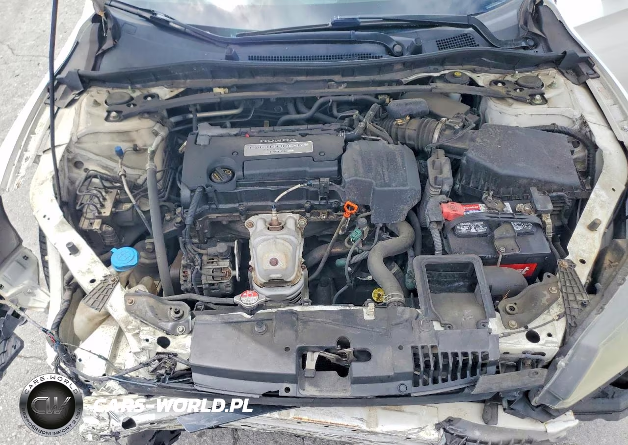 2013 Honda Accord Exl VIN:1HGCR2F80DA055335 - 11