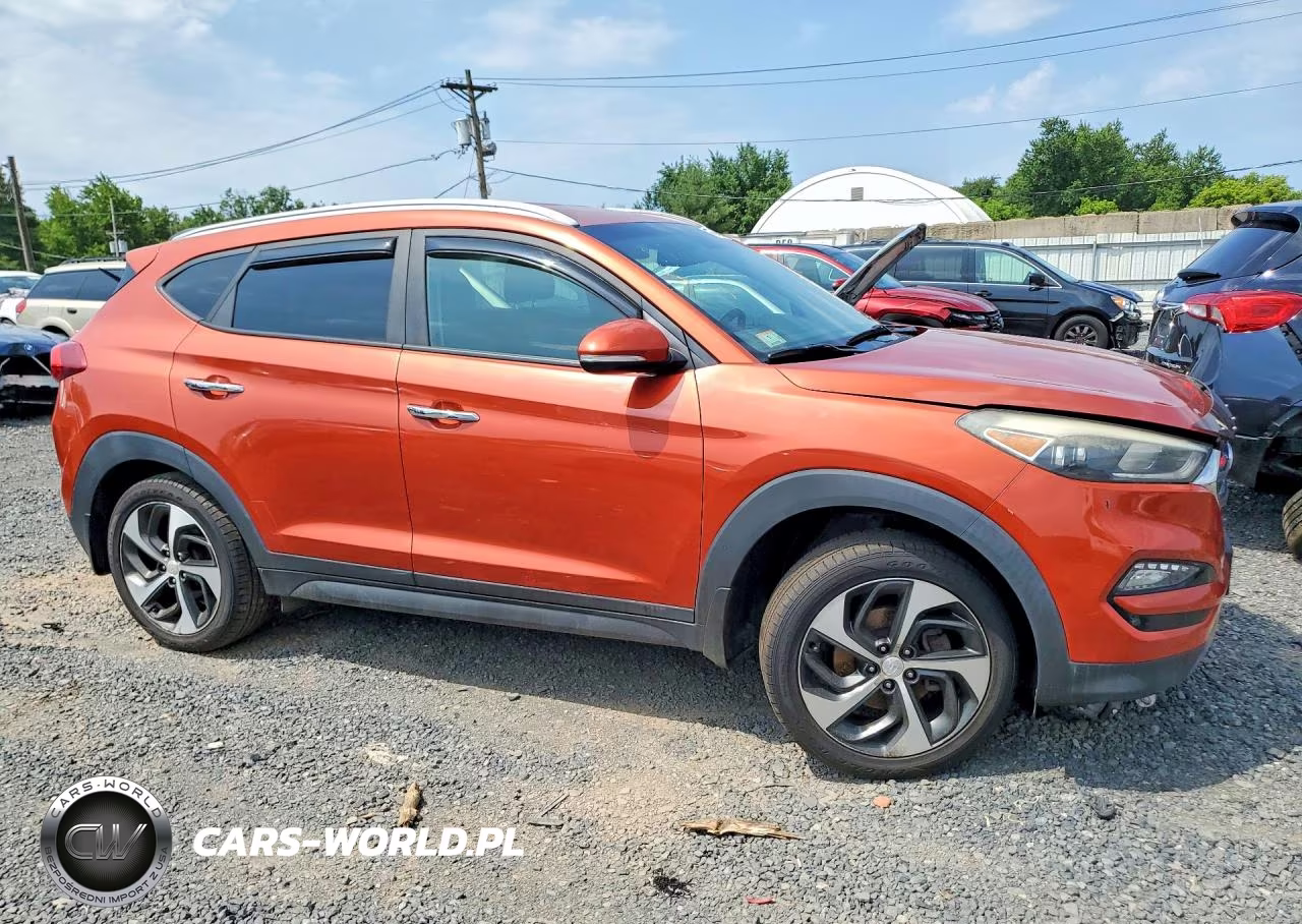 2016 Hyundai Tucson Limited VIN:KM8J3CA2XGU165744 - 4