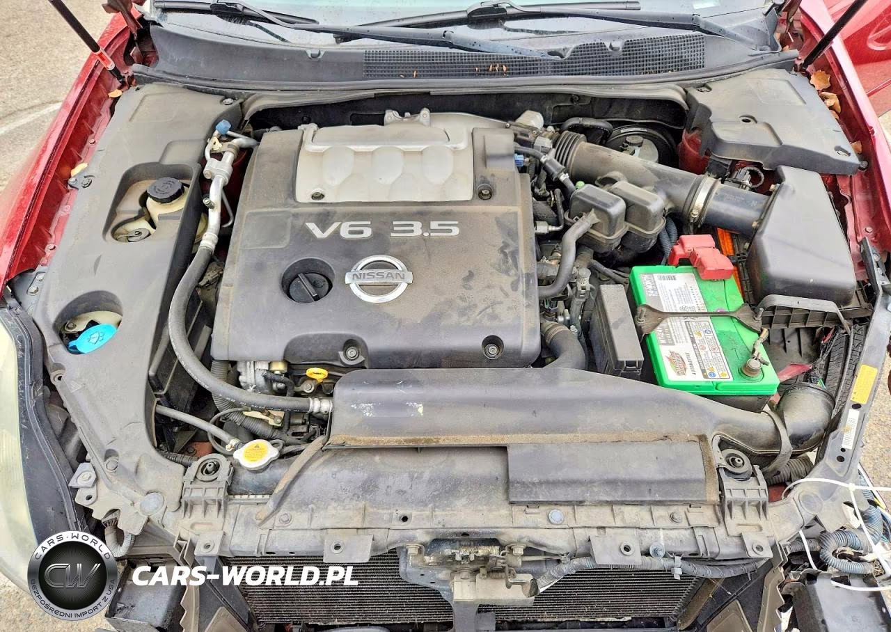 2004 Nissan Maxima 3.5 Se VIN:1N4BA41E84C922226 - 11