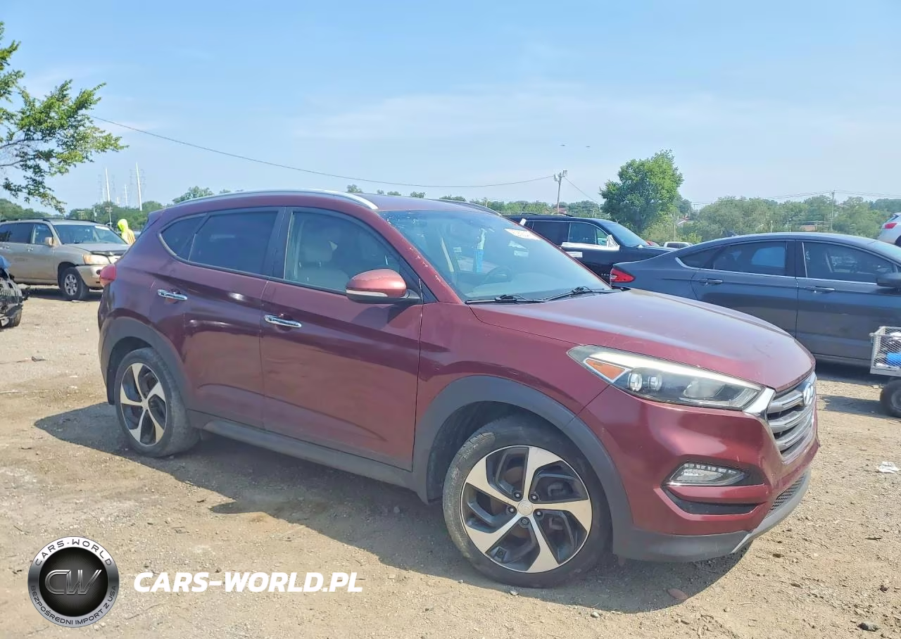 2016 Hyundai Tucson Limited VIN:KM8J3CA28GU231031 - 4